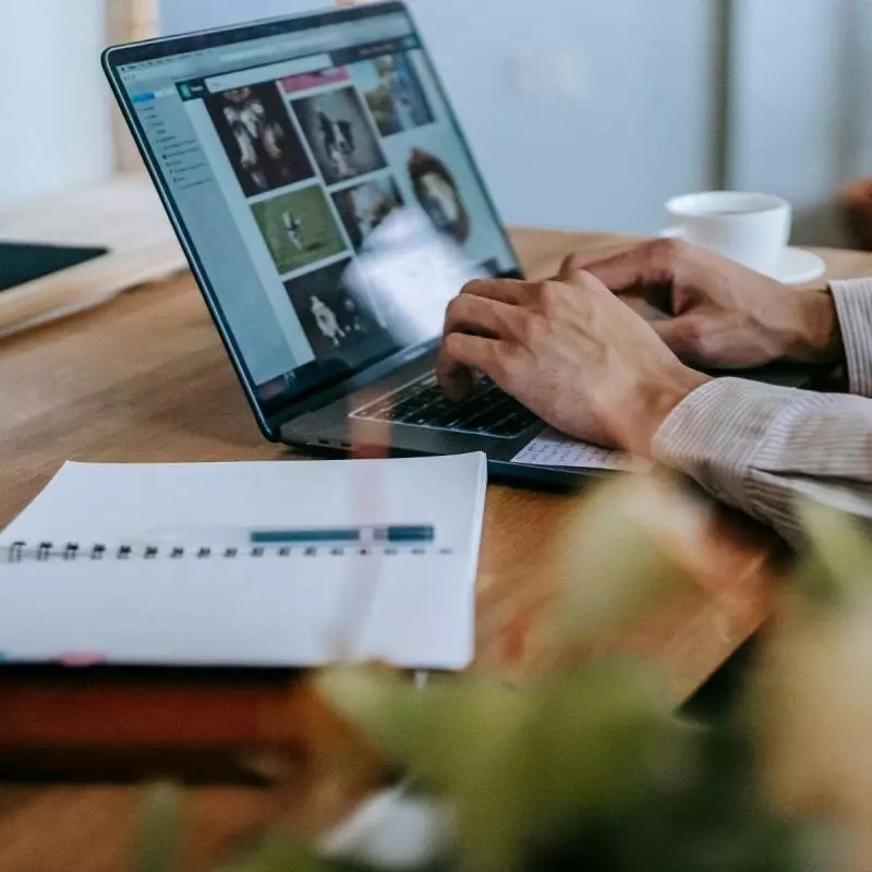 Freelance atau Usaha Sampingan Instan untuk Atasi Krisis Keuangan