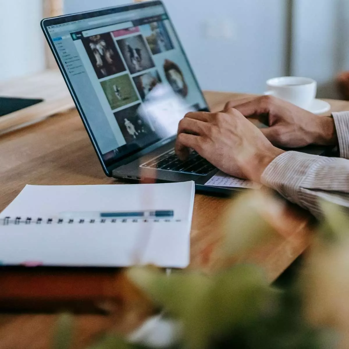 Freelance atau Usaha Sampingan Instan untuk Atasi Krisis Keuangan